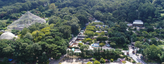 사진 청주시 제공
